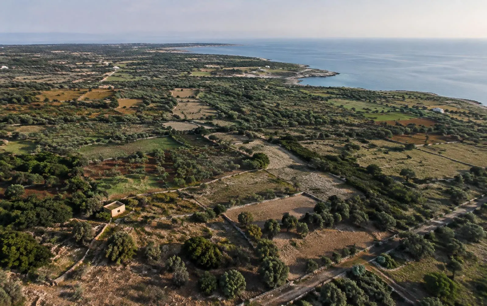 Veduta aerea della campagna salentina tra ulivi, macchia mediterranea e mare